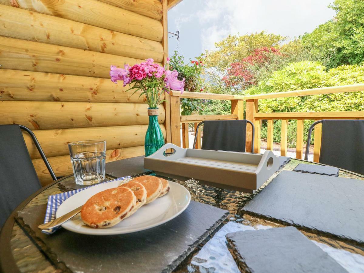 Willow Lodge Tenby Kültér fotó